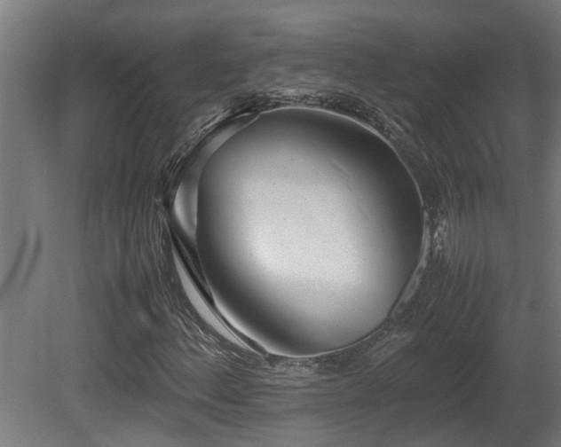 X0000081431156200701121254
