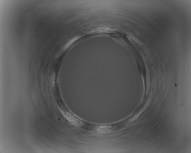 X0000081431161200701121254
