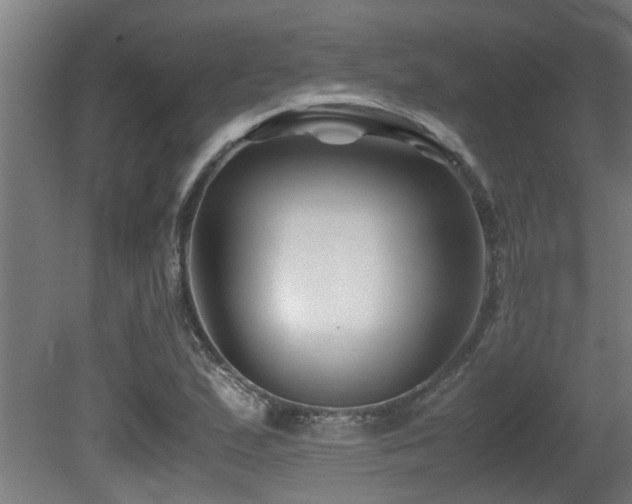 X0000081431167200701121254