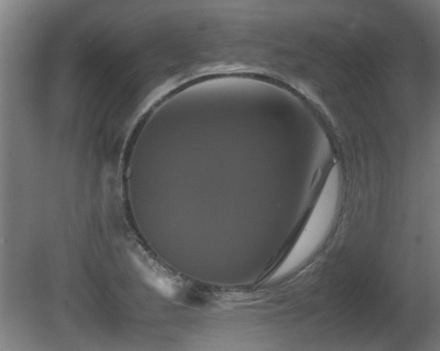 X0000081431173200701121254