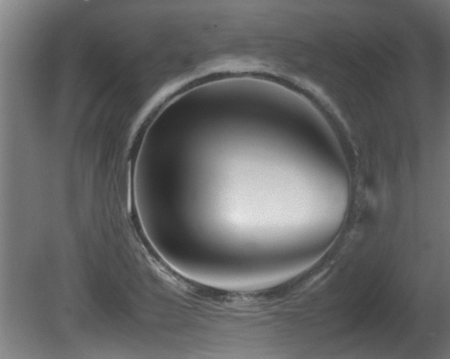 X0000081431175200701121254