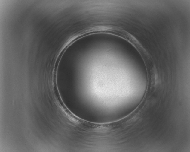 X0000081431178200701121254