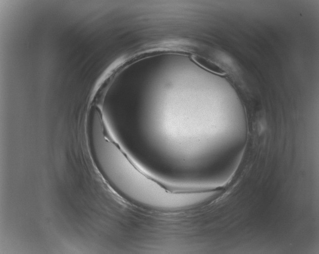 X0000081431180200701121254