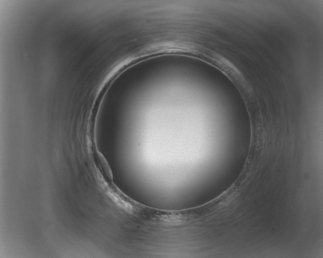 X0000081431182200701121254
