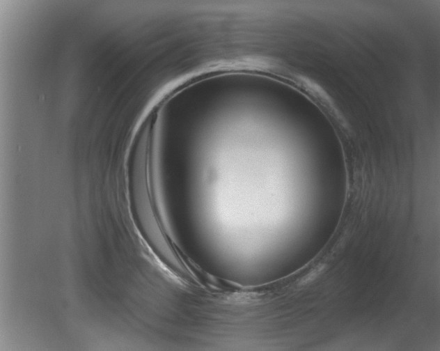 X0000081431184200701121254