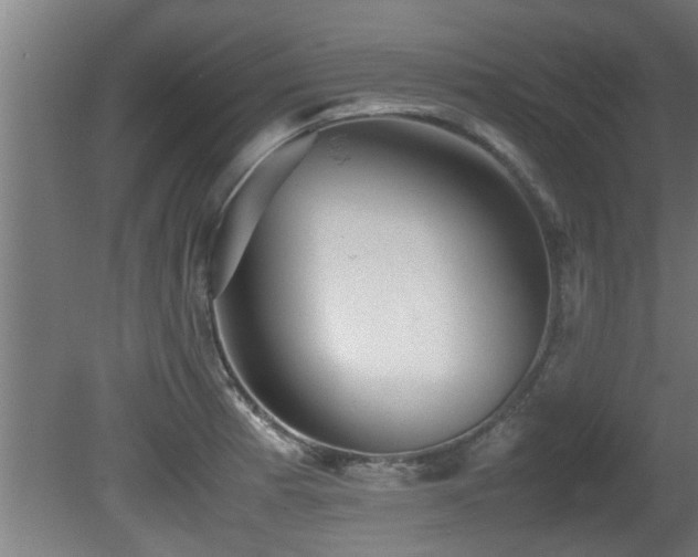 X0000081431185200701121254