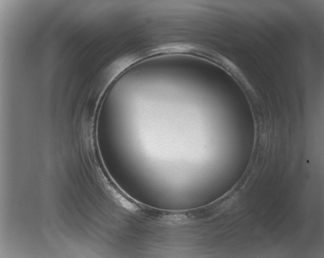 X0000081431186200701121254