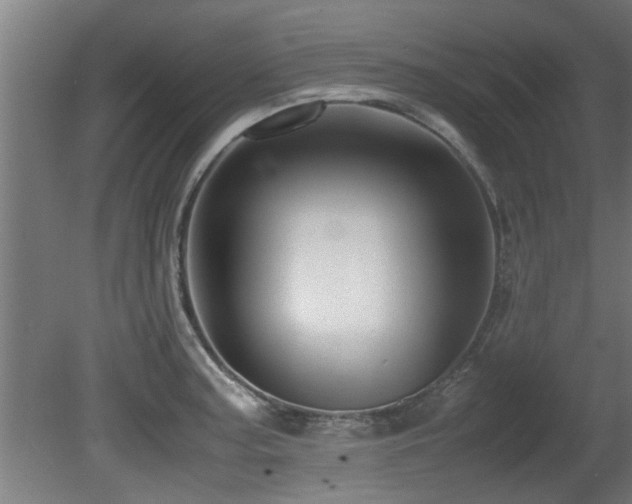 X0000081431187200701121254