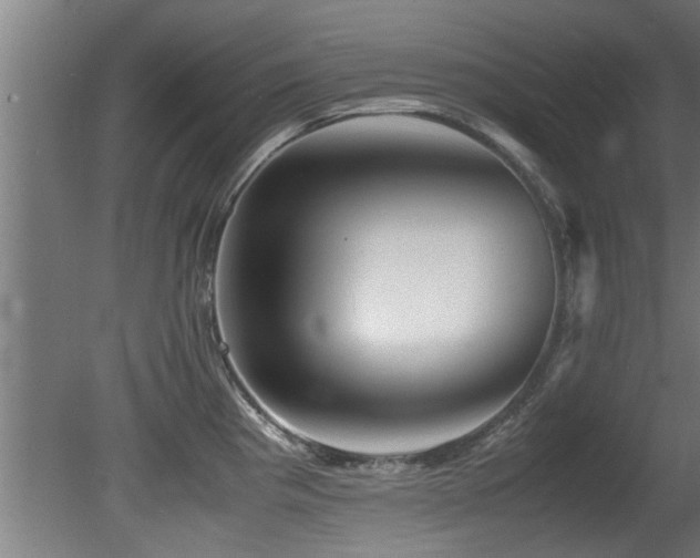 X0000081431193200701121254