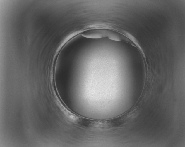 X0000081431195200701121254