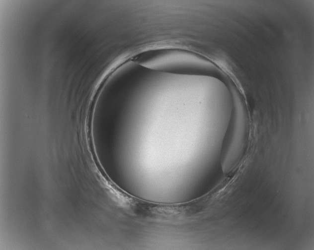 X0000081431197200701121254