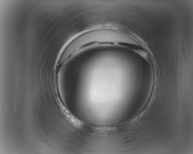 X0000081431200200701121254