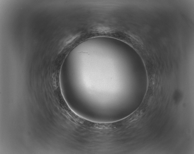 X0000081431205200701121253
