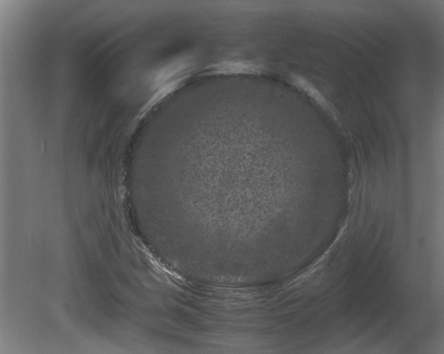 X0000081431213200701121253