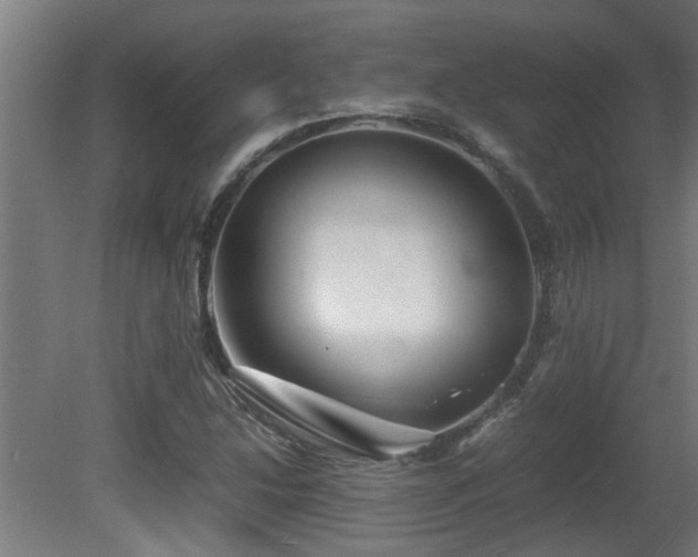 X0000081431214200701121253