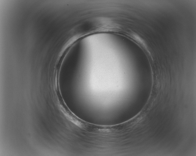 X0000081431227200701121253