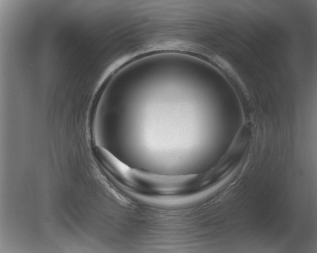 X0000081431230200701121253