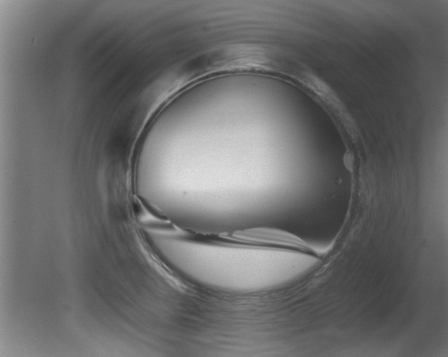 X0000081431234200701121253