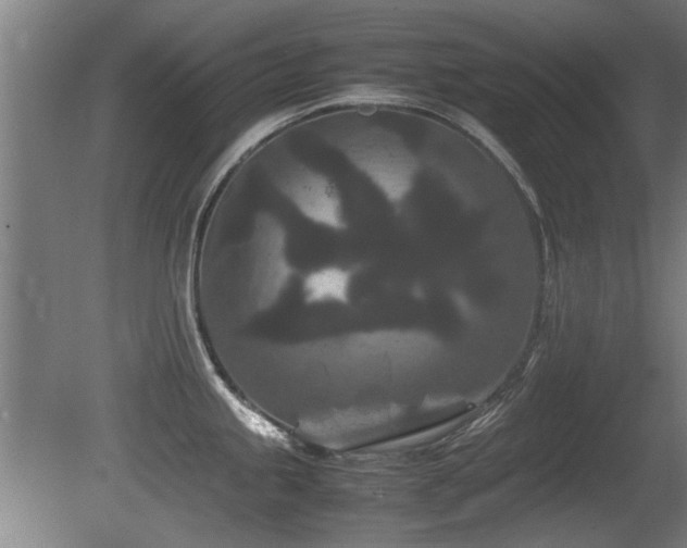 X0000081431245200701121254