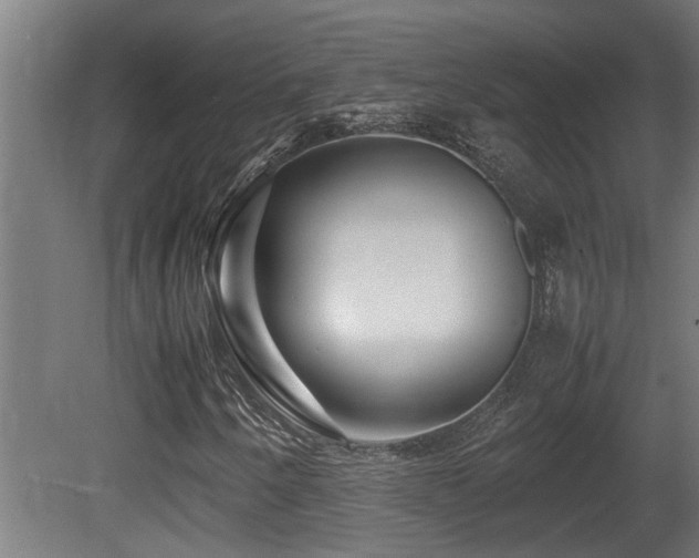 X0000081431250200701121253