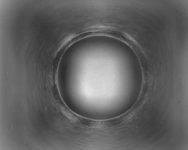X0000081431259200701121253