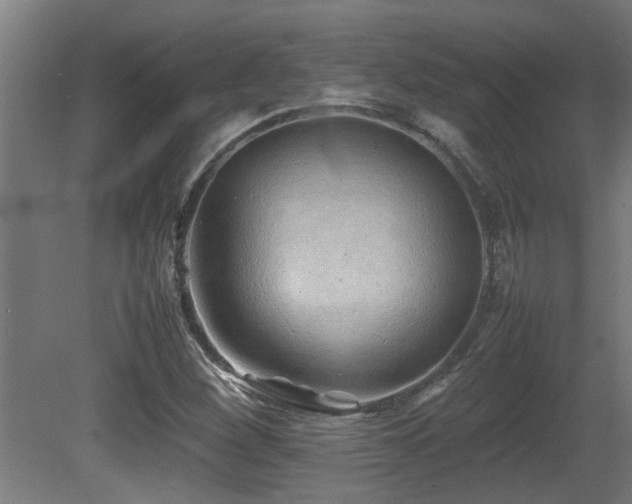 X0000081431260200701121253