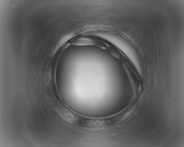 X0000081431261200701121253