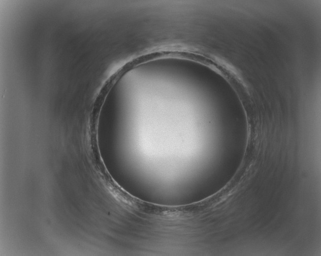 X0000081431264200701121253