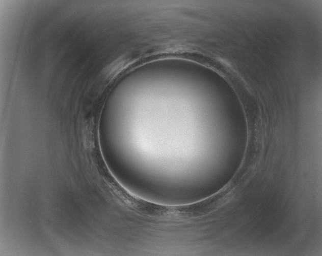 X0000081431265200701121253