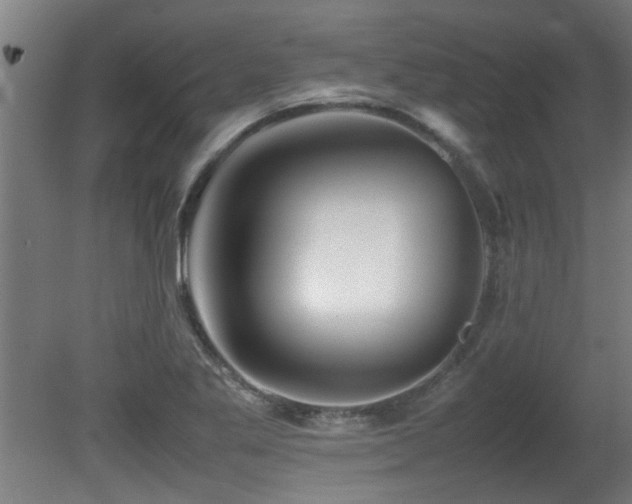 X0000081431269200701121252