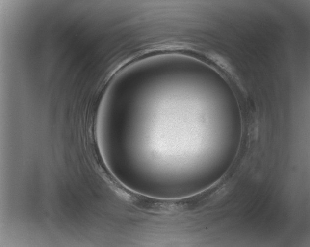 X0000081431273200701121252
