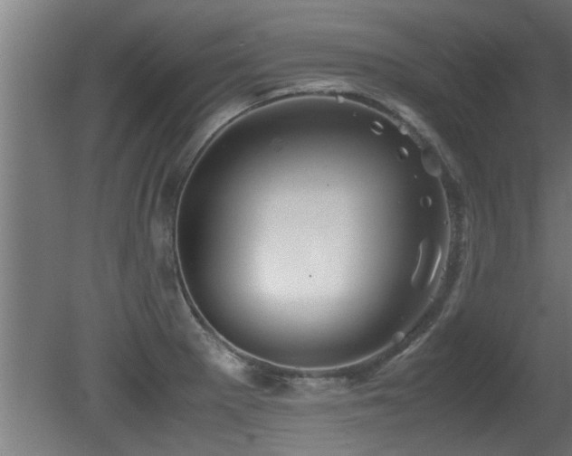 X0000081431281200701121252