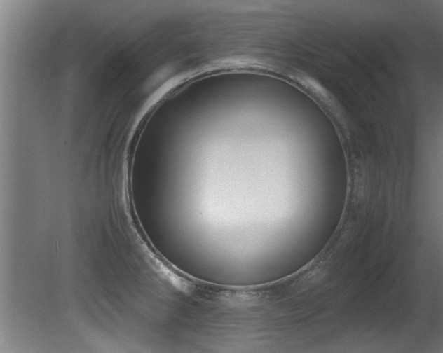 X0000081431286200701121252