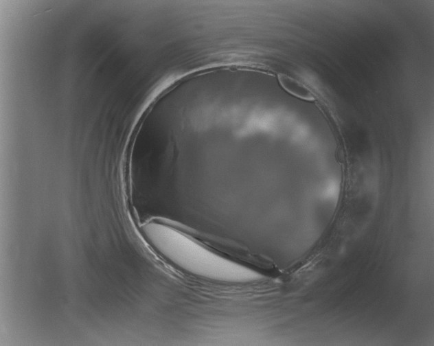 X0000081431291200701121252