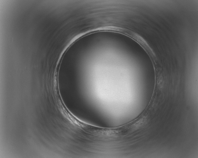 X0000081431292200701121252