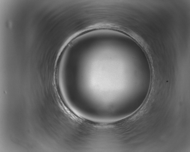 X0000081431296200701121252