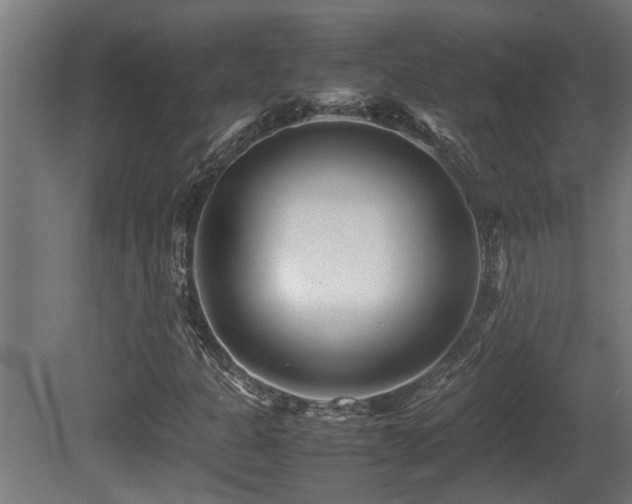 X0000081431301200701121251