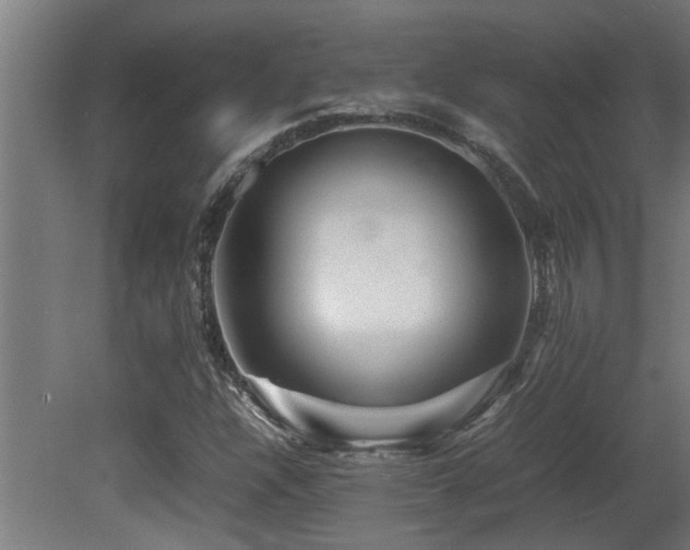 X0000081431304200701121251