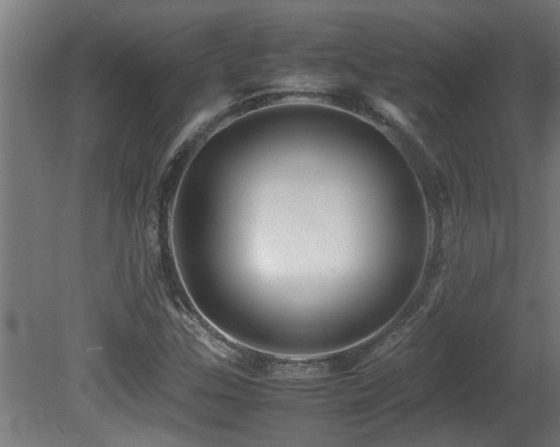 X0000081431307200701121251
