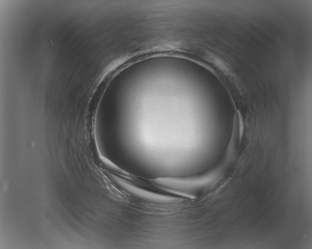 X0000081431308200701121251