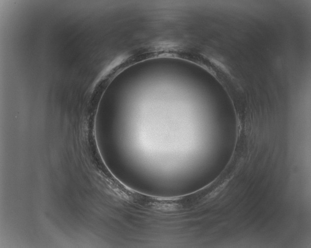 X0000081431309200701121251