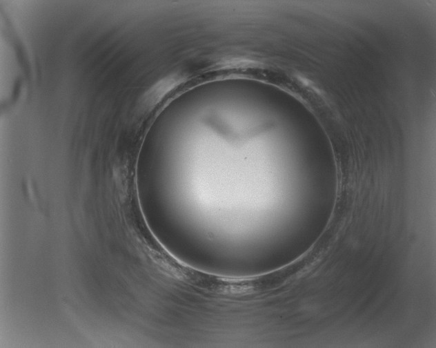 X0000081431313200701121251
