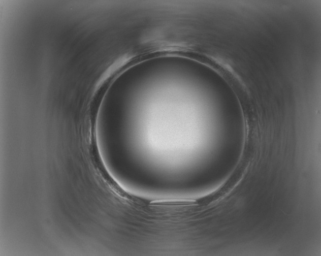 X0000081431317200701121252