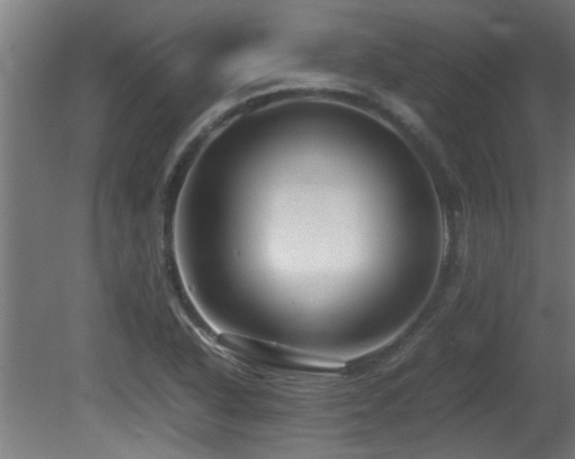 X0000081431318200701121252