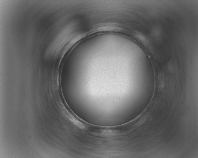 X0000081431322200701121252