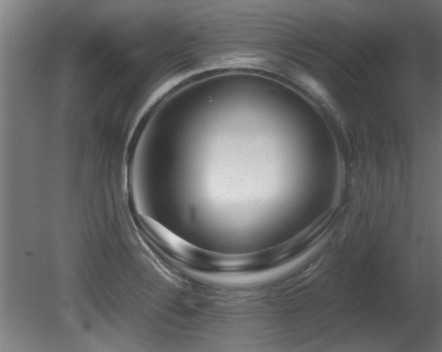 X0000081431324200701121252