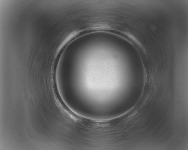 X0000081431325200701121252