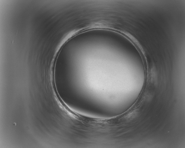 X0000081431341200701121252