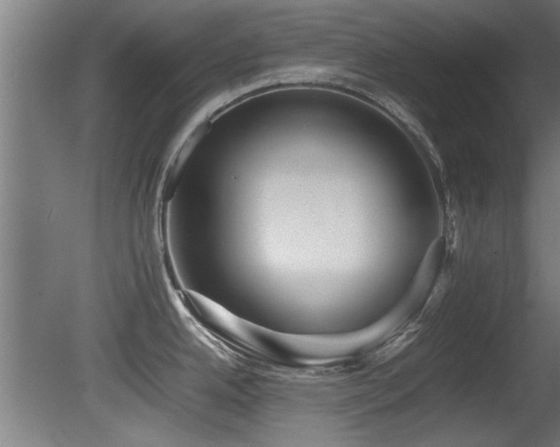 X0000081431342200701121252