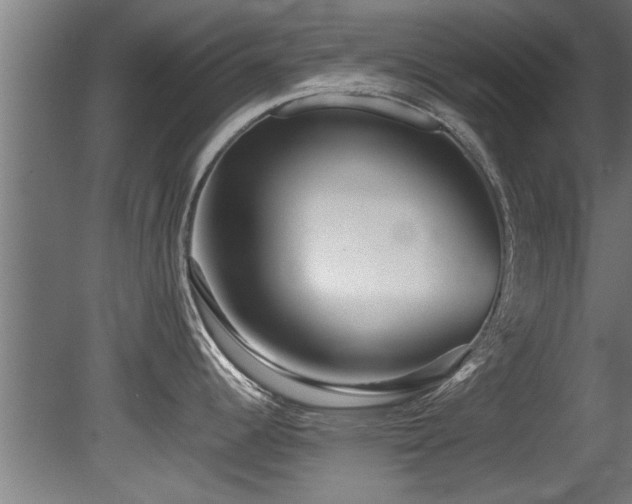 X0000081431344200701121252